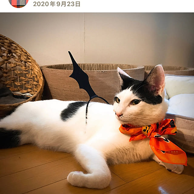 nobikoさんの部屋