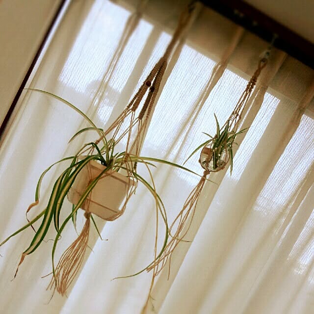 cache-cacheさんの実例写真