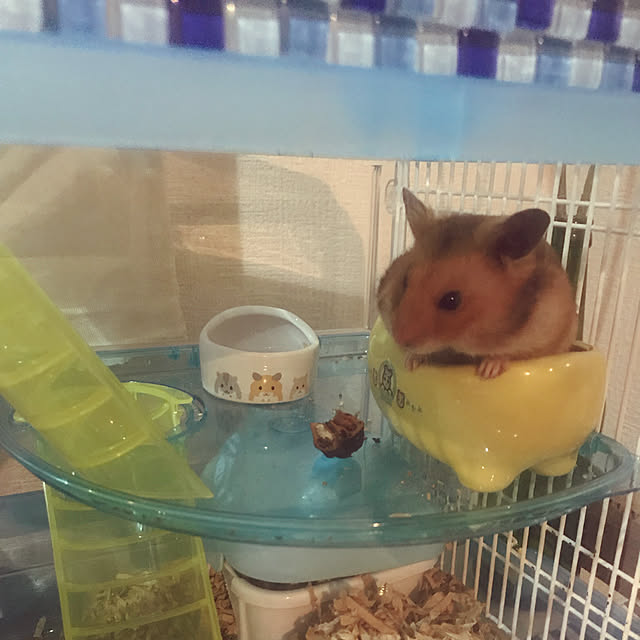 tanumaさんの実例写真