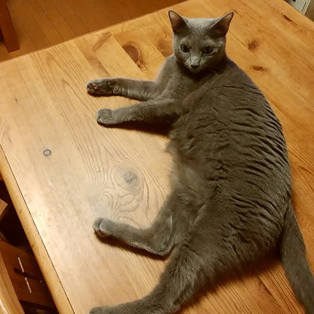 tomo1220さんの実例写真