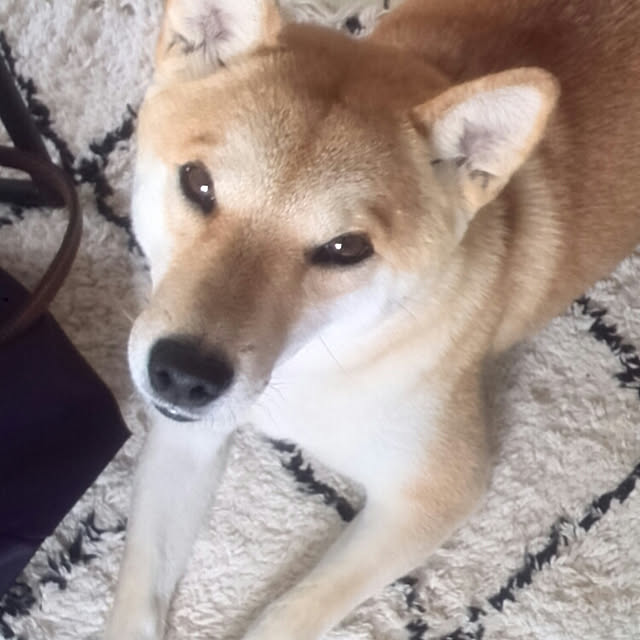 kさんの実例写真