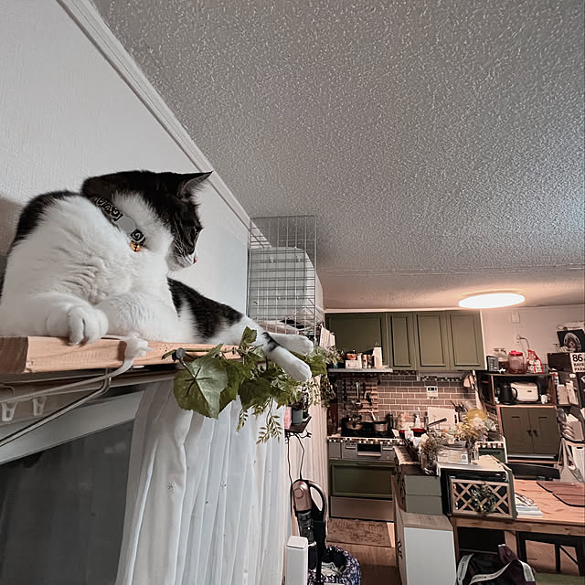 sumoanzuさんの実例写真