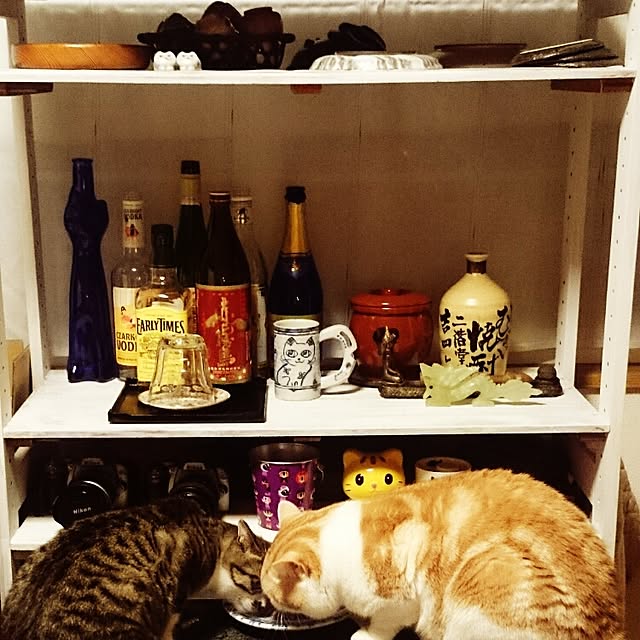 kikufujiさんの実例写真