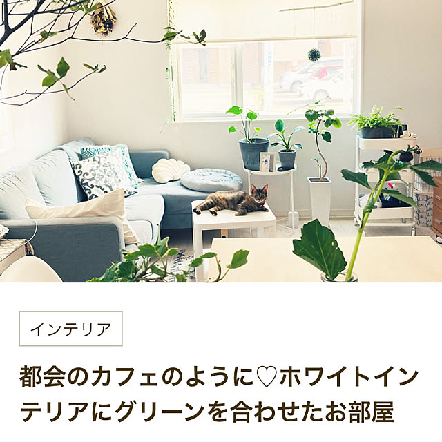 minminさんの実例写真