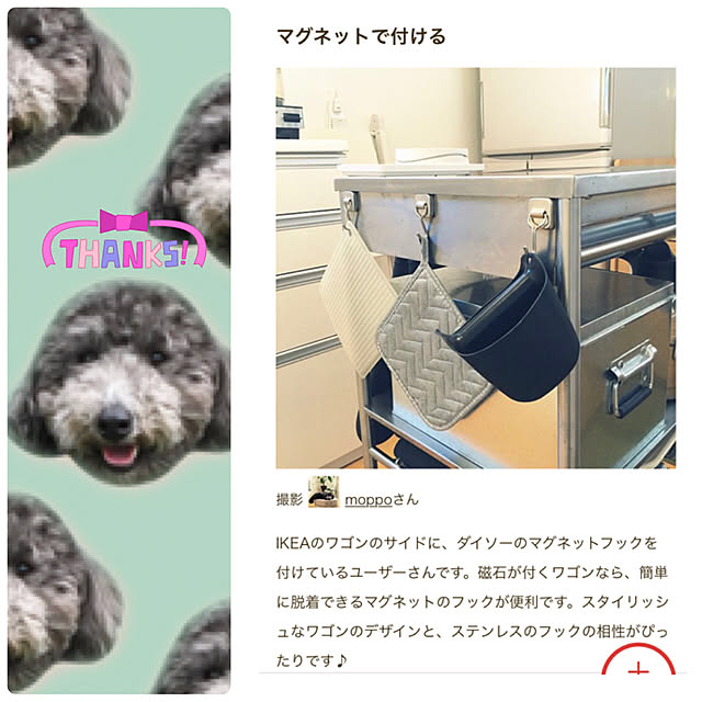 moppoさんの実例写真