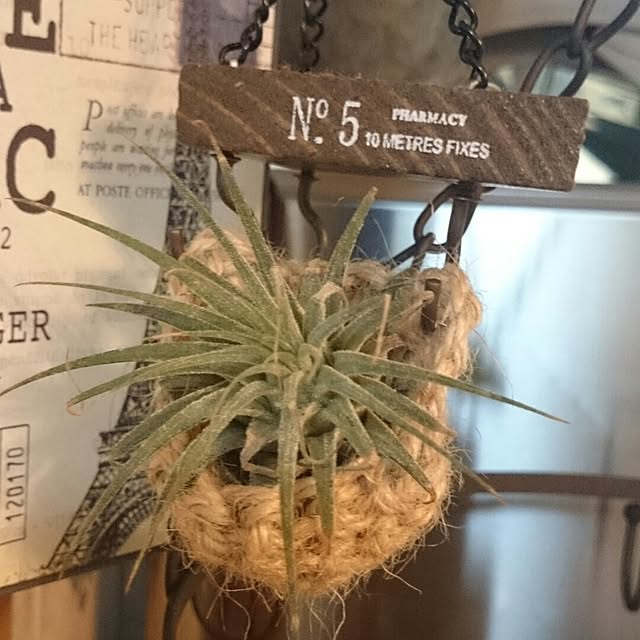 sawaさんの実例写真