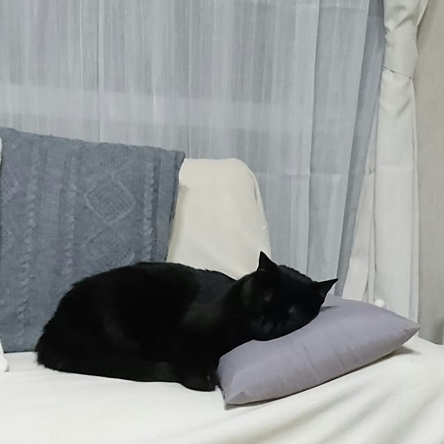 taleo07さんの実例写真