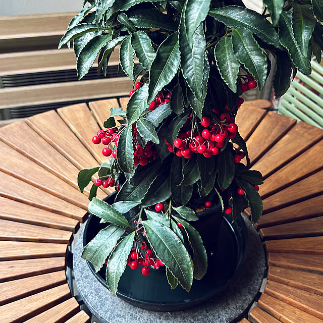 happy-sachiさんの部屋