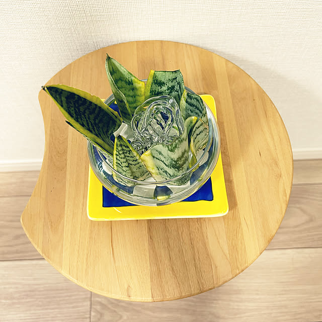 yoyoyoさんの部屋