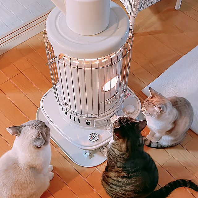 milkcocoaさんの実例写真