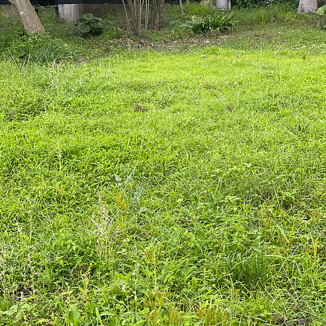 kabu10さんの部屋