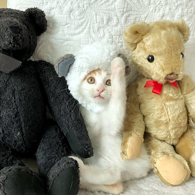 yuchiさんの実例写真