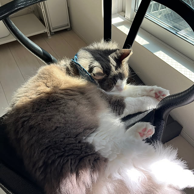 leoさんの実例写真