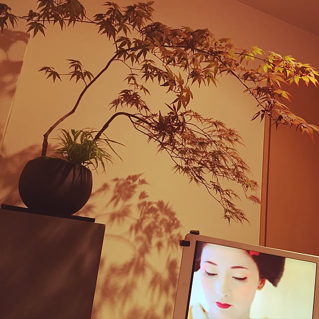 mituzuさんの実例写真