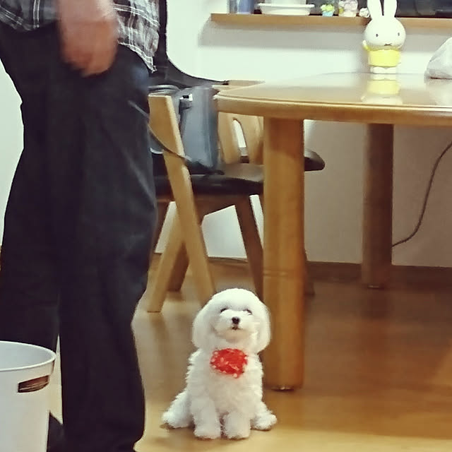 hanamilkoさんの実例写真
