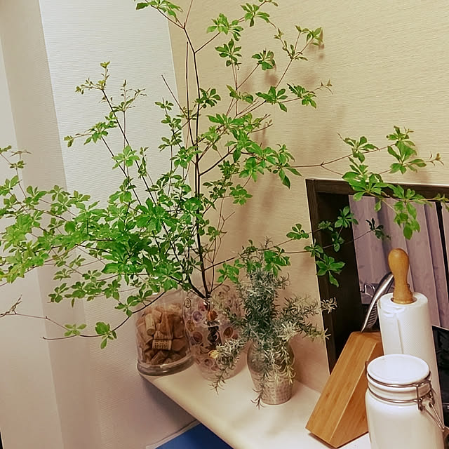 chihohoさんの実例写真