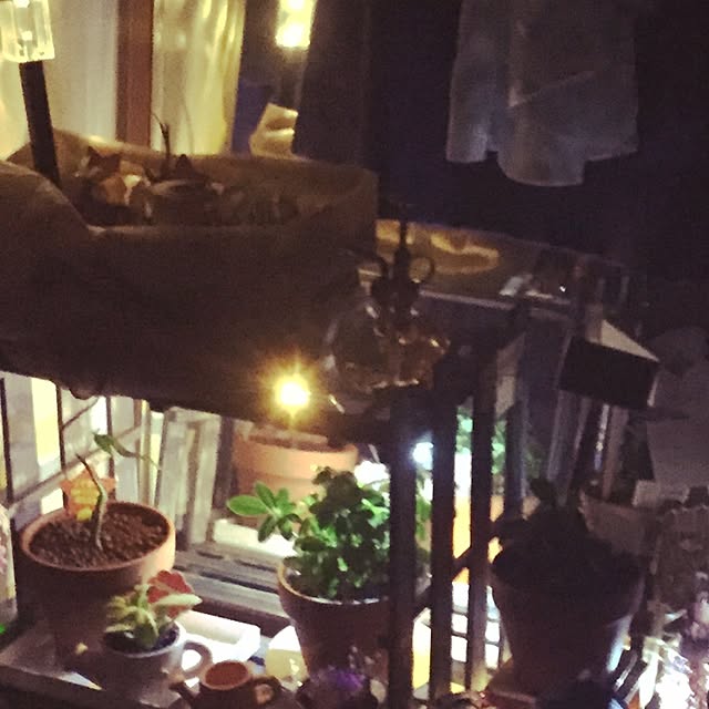 maria.rさんの実例写真