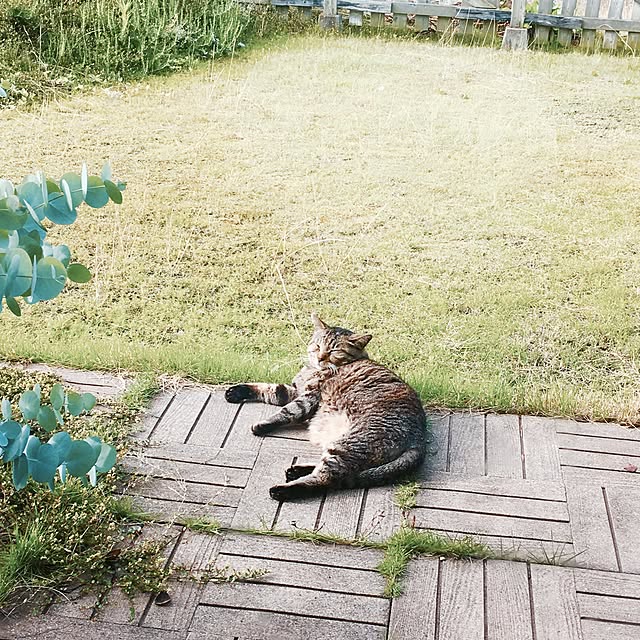 NAOMIさんの実例写真