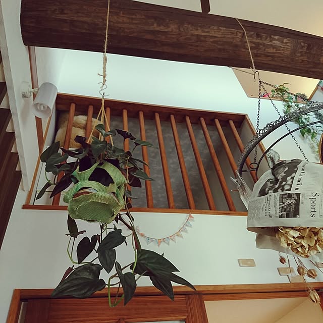 akiさんの実例写真