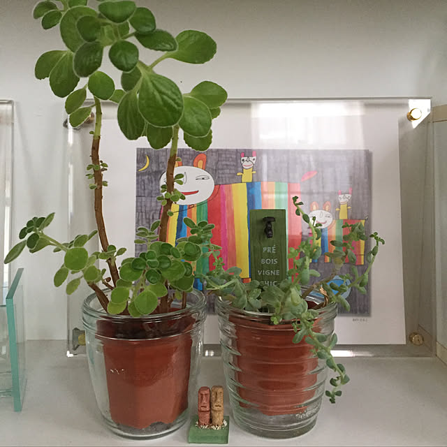 机/観葉植物/花のある暮らし/多肉植物のインテリア実例 - 2018-01-10 13:08:18