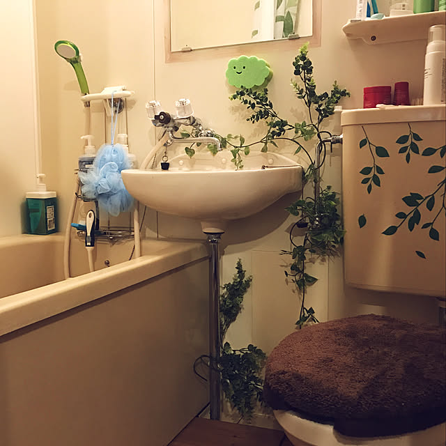 Shimaさんの実例写真