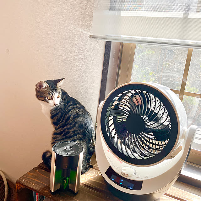 Yukinekoさんの実例写真