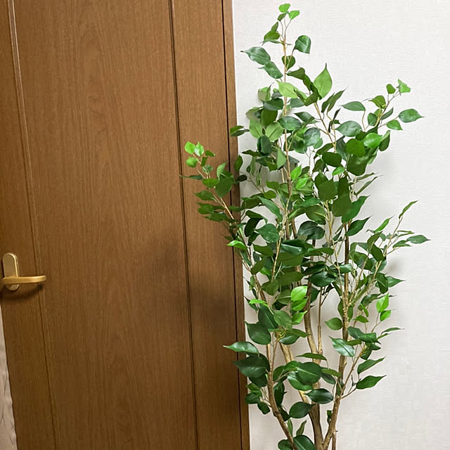 terutaniさんの実例写真