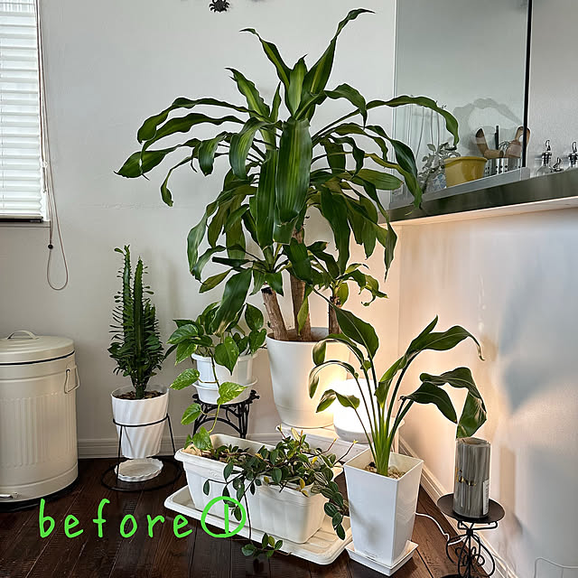 hanahana1444さんの部屋