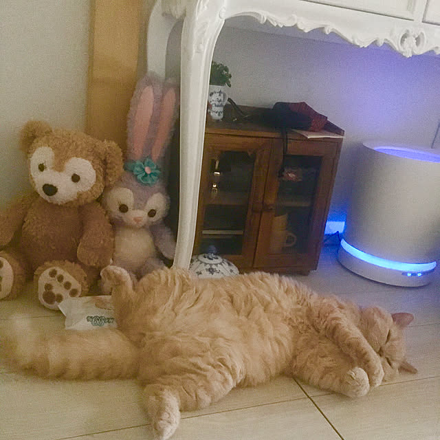 naokoさんの実例写真