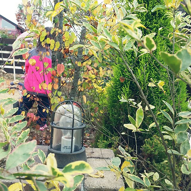 sun-sun.helloさんの実例写真