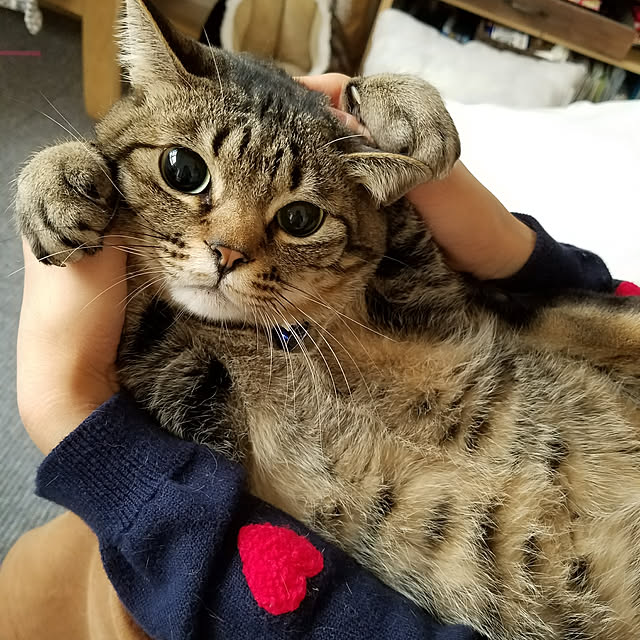 t-famさんの実例写真