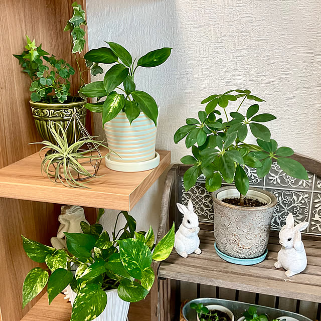 2.11maririnさんの部屋