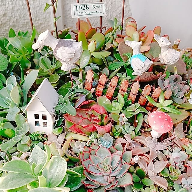 Hanakaさんの部屋