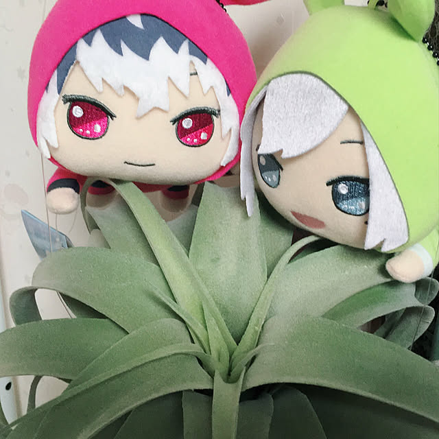 sukikageさんの実例写真