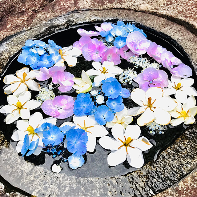 ankoさんの実例写真