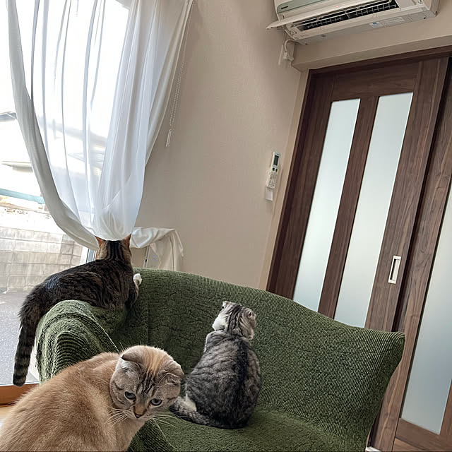 Dahliaさんの実例写真