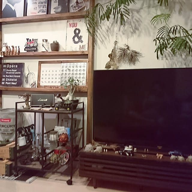 degumokoさんの実例写真