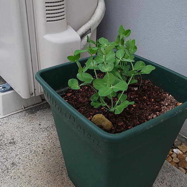 KOHAKUさんの部屋