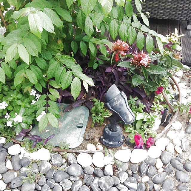 latousa34さんの実例写真
