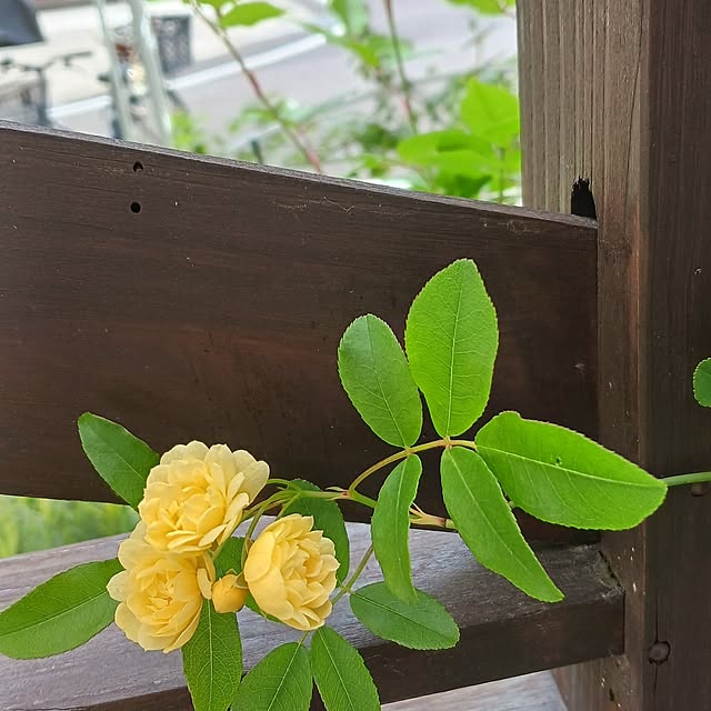 aiさんの部屋