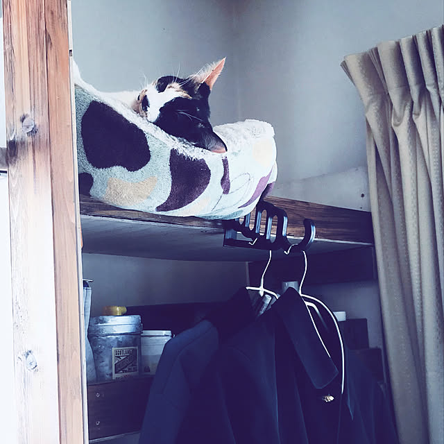 maroさんの実例写真