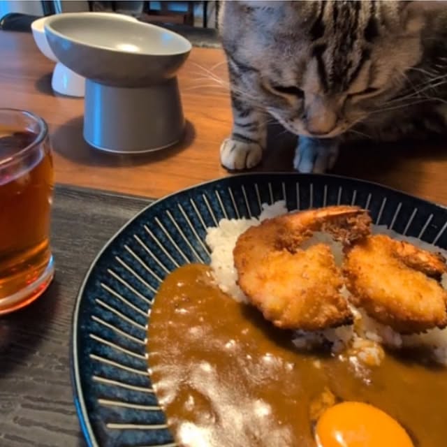 lovepeaceさんの部屋