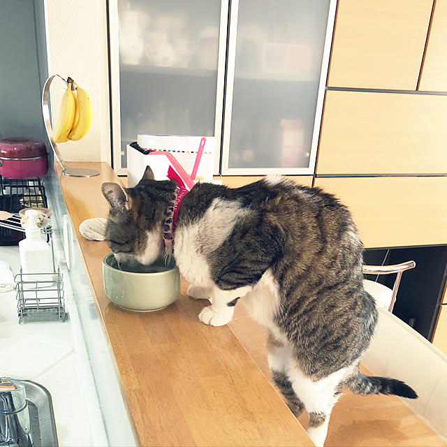 nnmmさんの実例写真