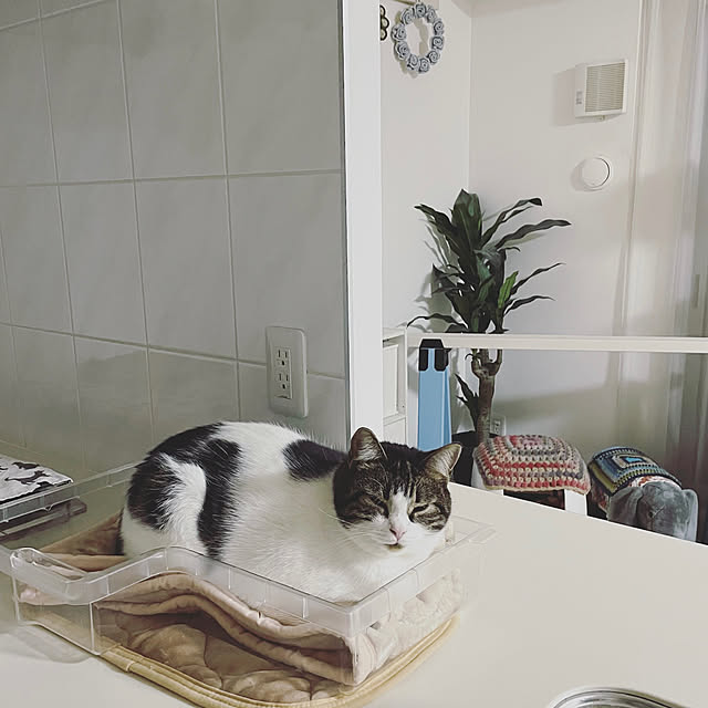 hemukoさんの実例写真