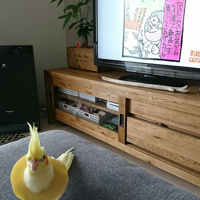 narisukeさんの実例写真