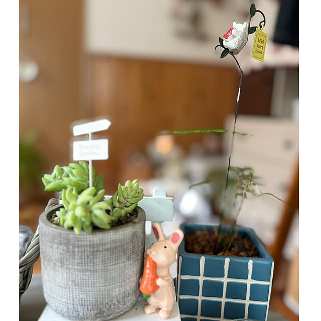 CoCo0617さんの部屋