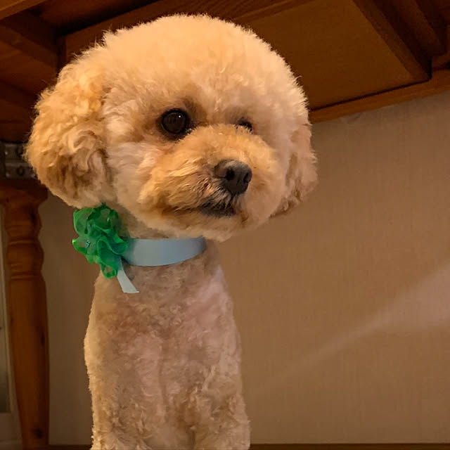 makizoさんの実例写真