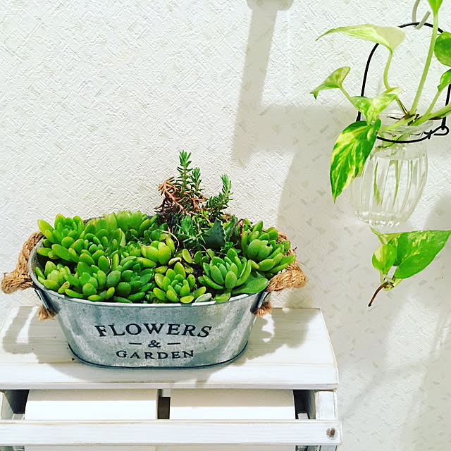 aiさんの実例写真