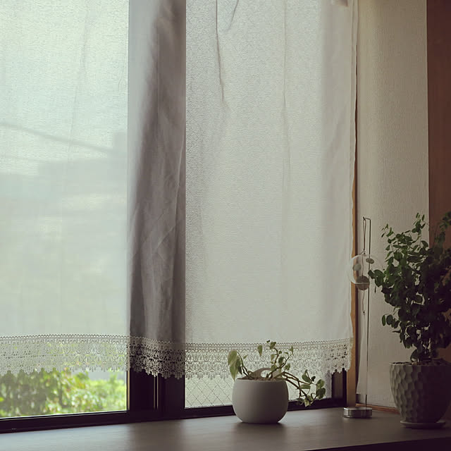 ficus38さんの実例写真
