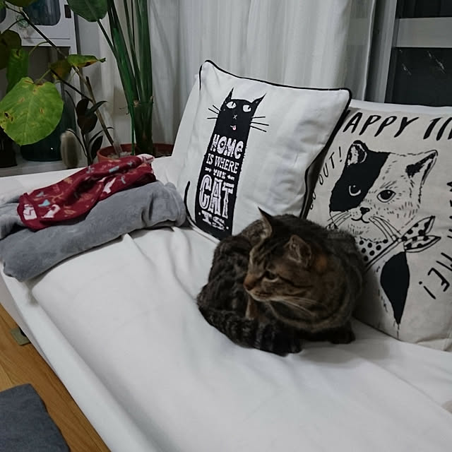 taleo07さんの実例写真